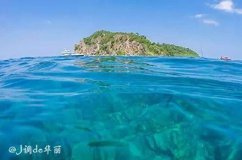 小鸡要回家