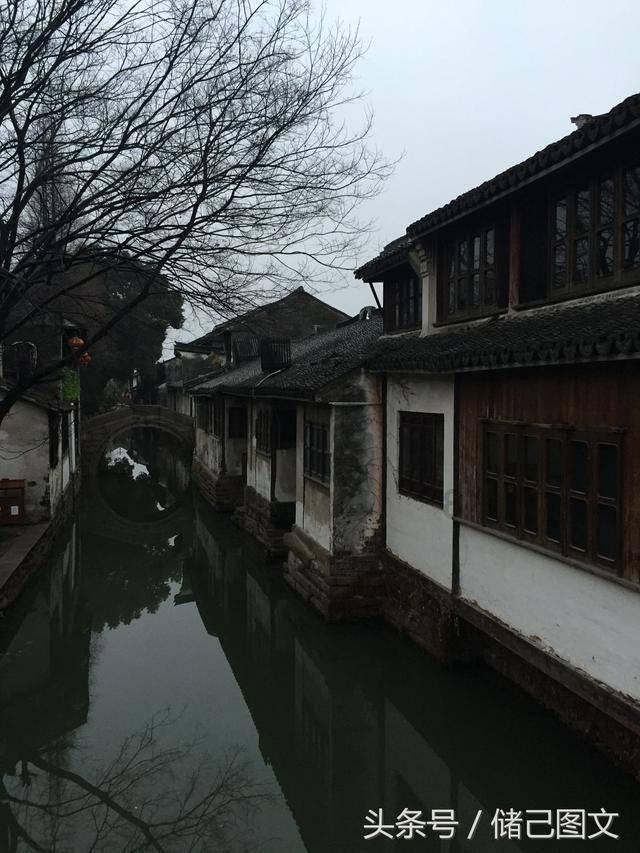 逗小猴开心系列170